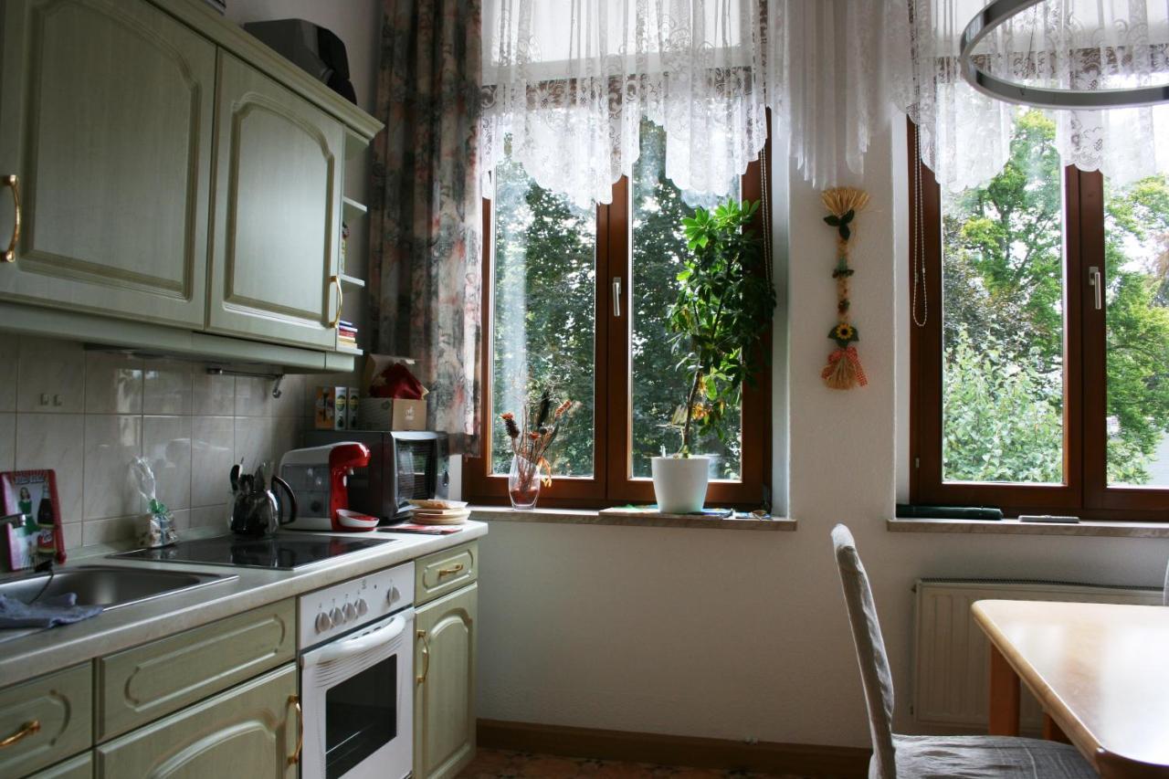 Villa Goeltzschtalblick Netzschkau Εξωτερικό φωτογραφία